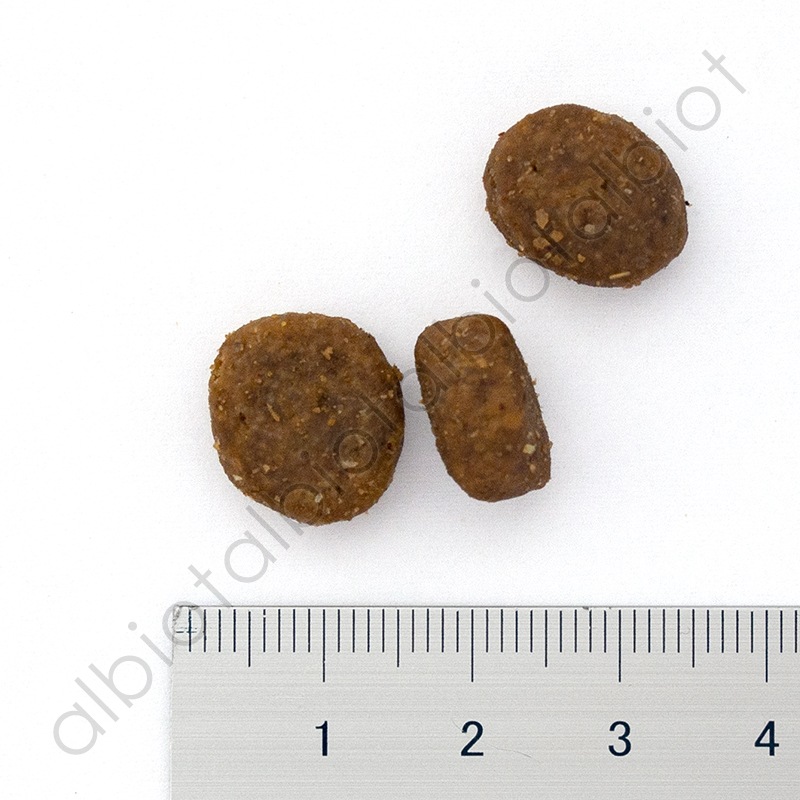 GO! ソリューションズ カーニボア アダルト チキンターキー＋ダック 30g 成犬用