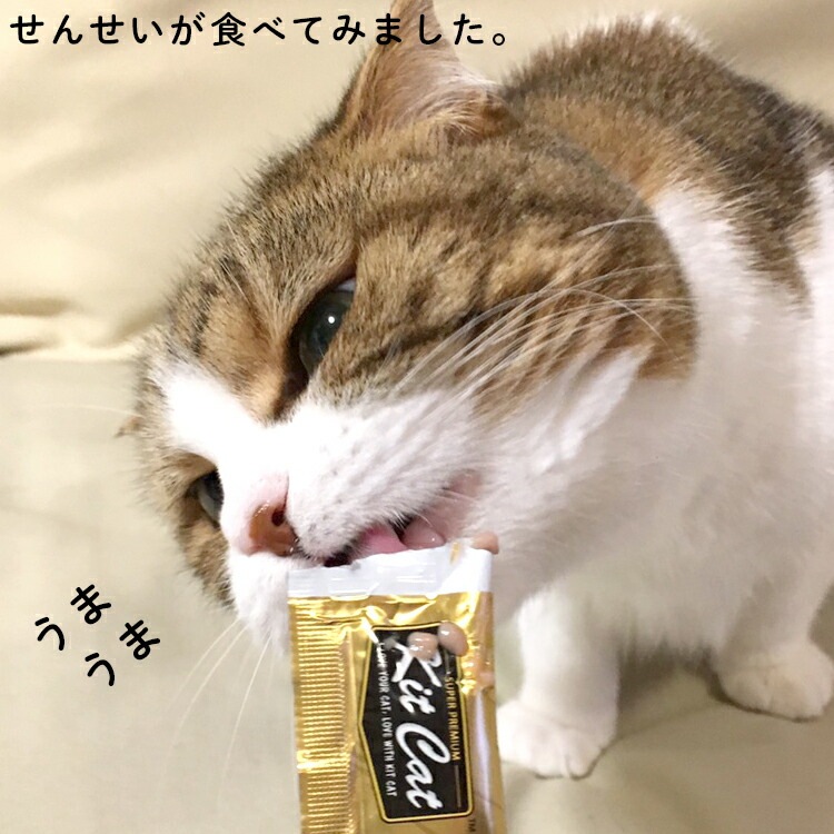 キットキャット パーピューレ チキン＆サーモン 60g (15g×4) [2874]