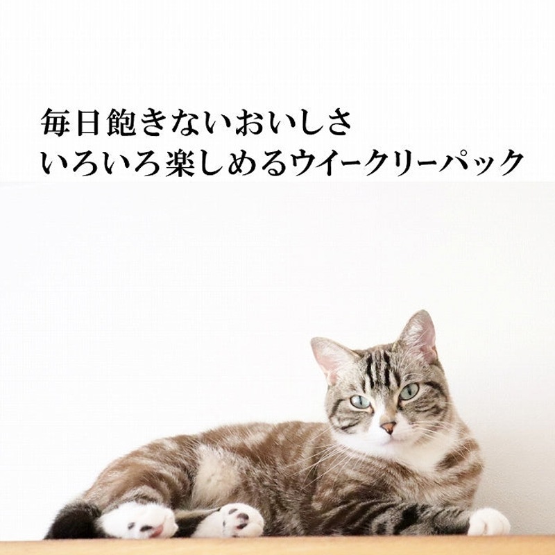 シグネチャー7 CAT パウチ バラエティーパック 50g×14袋