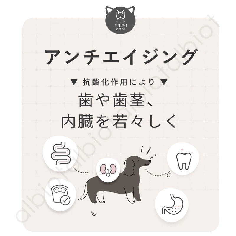 SILKFULL シルクフル 犬用腎ケアサプリメント [ 3g×7包 | 3g×30包 ]