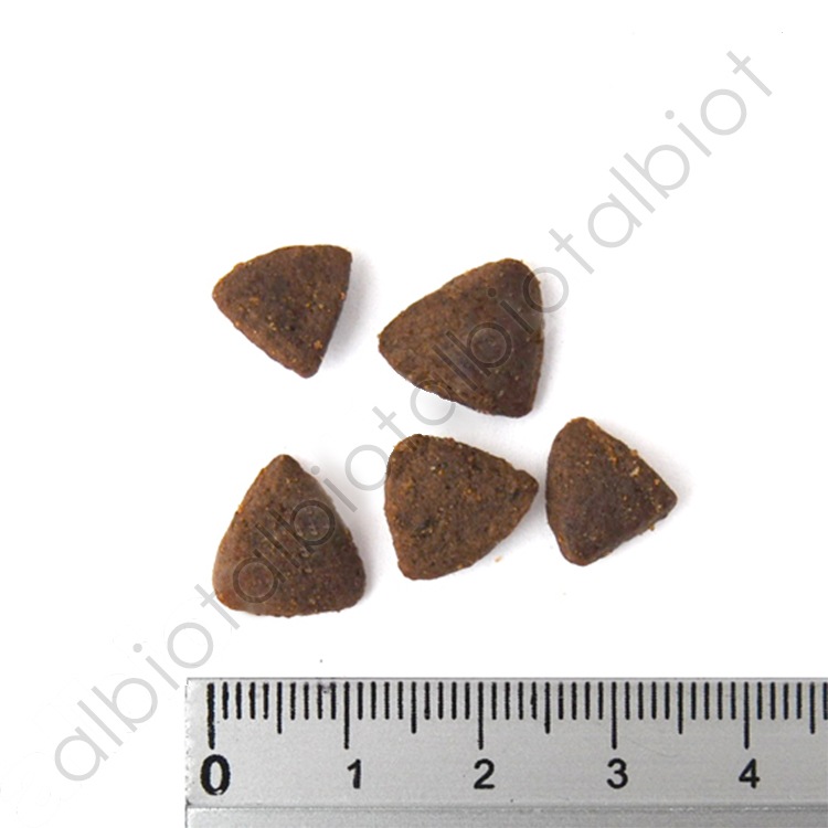 フィッシュ4キャット サーモン 400g