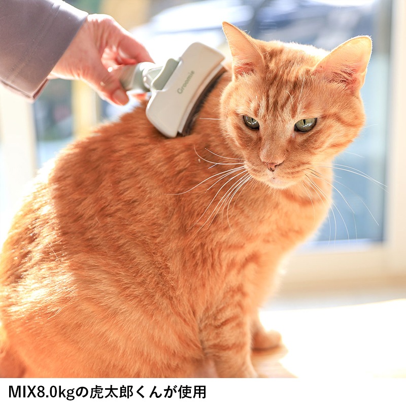 グルーミー アンダーコートリムーブ Mサイズ