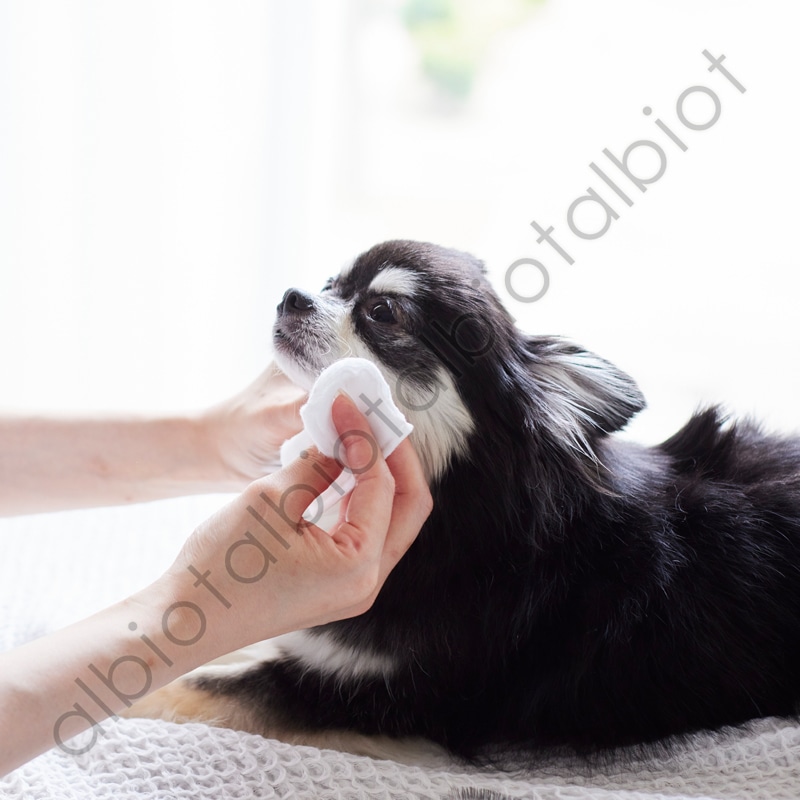 ナノウエル ボディケアスプレー 60ml 愛犬愛猫用美容液