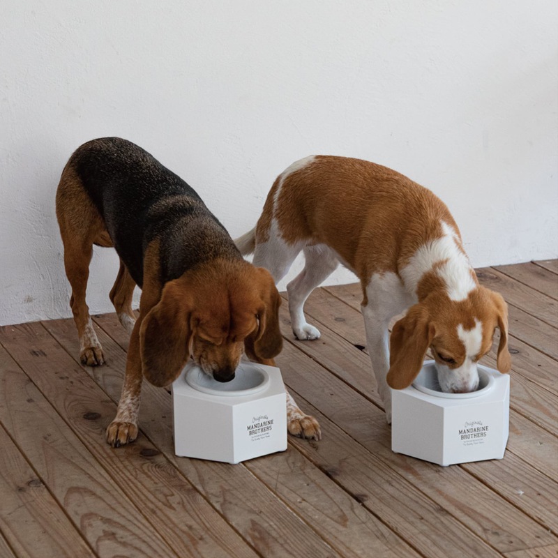 【マンダリンブラザーズ】MBフードスタンド No.6202