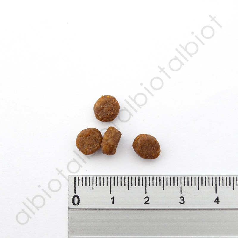 LUCY PET ルーシーペット スーパーフード ウルトラキャット 1kg ドライフード