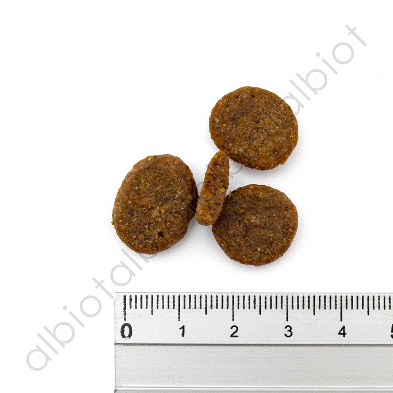 ナチュラルバランス オリジナルウルトラ 犬用 鶏肉＆スイートポテトレシピ［全年齢用］ドッグフード ドライフード