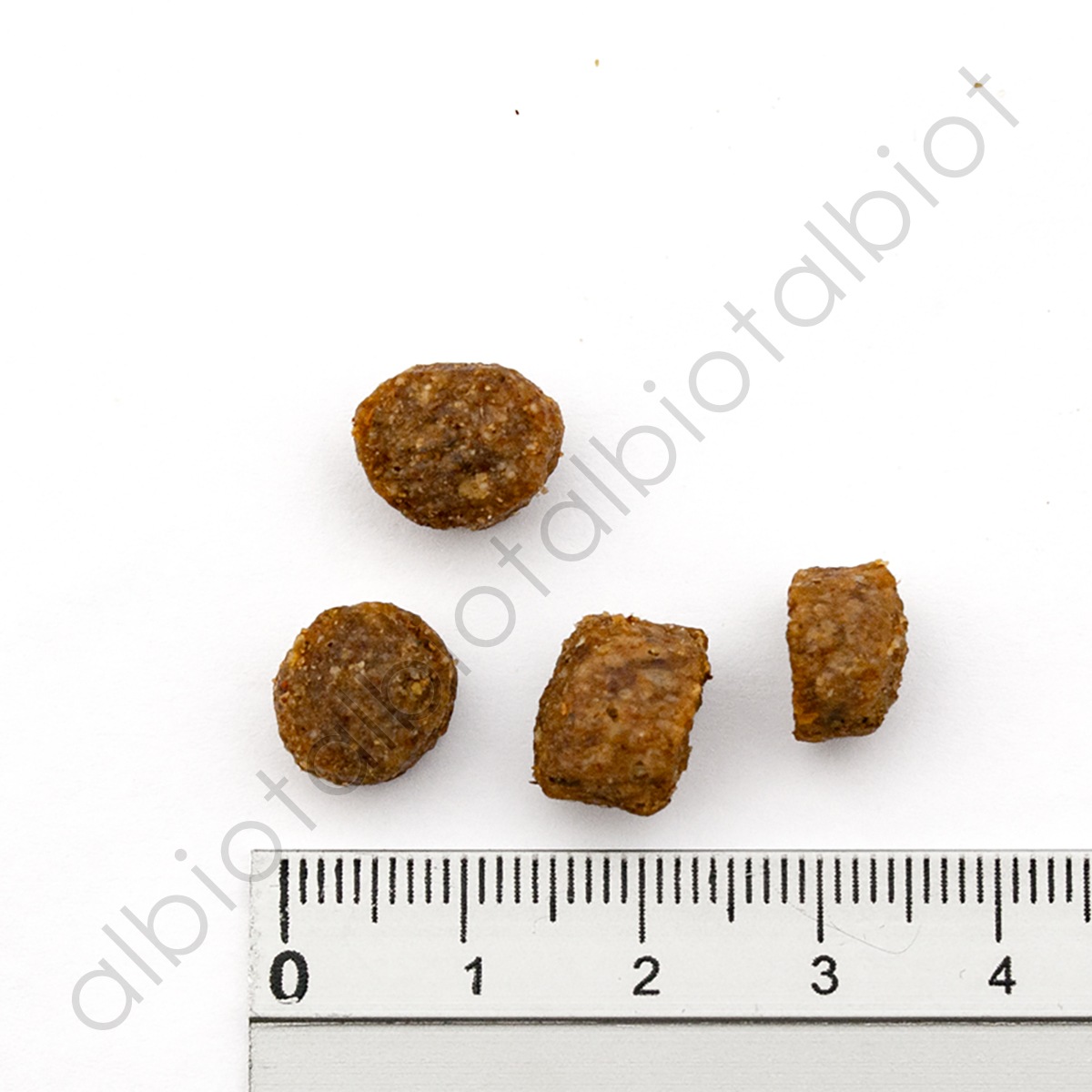 ブラックウッド 1000 ドッグフード