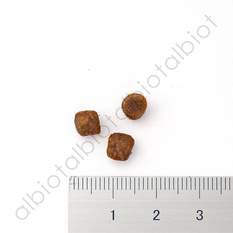 GO! ソリューションズ カーニボア チキンターキー＋ダック 30g キャットフード