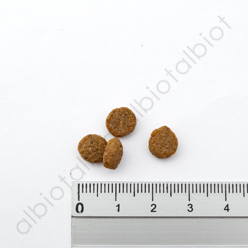 LUCY PET ルーシーペット スーパーフード ウルトラリデュースカロリー キャット 1kg ドライフード CAT