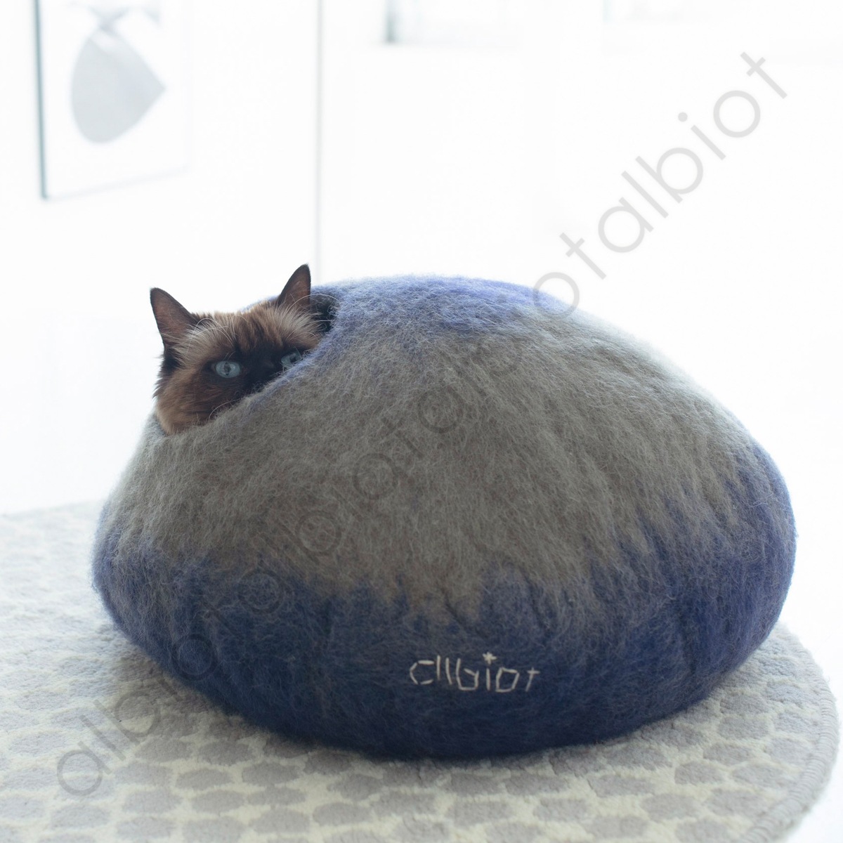 アルビオ フェルトハウス やきもの