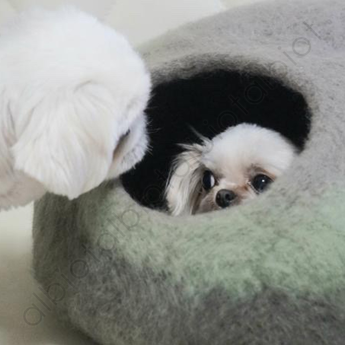 アルビオ フェルトハウス やきもの