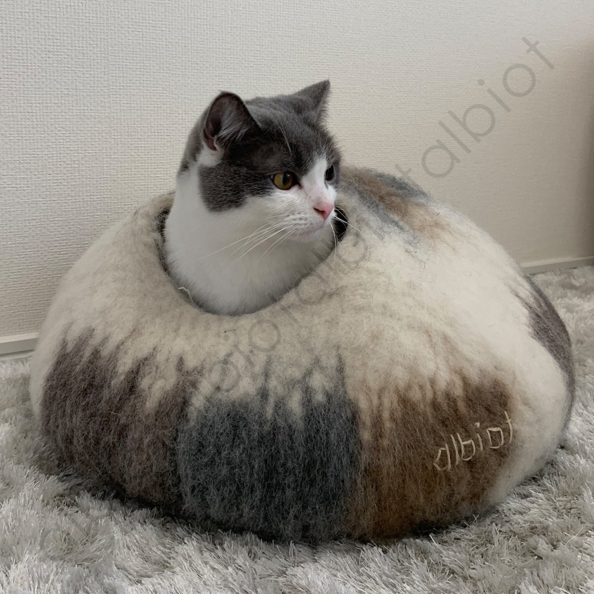 アルビオ フェルトハウス やきもの