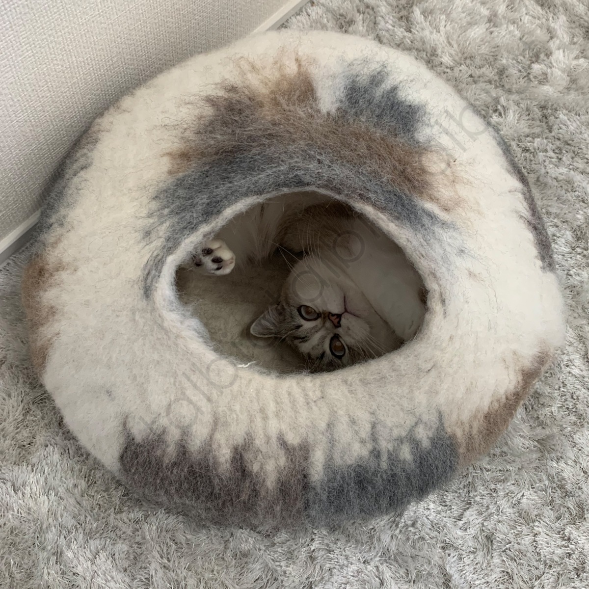 アルビオ フェルトハウス やきもの