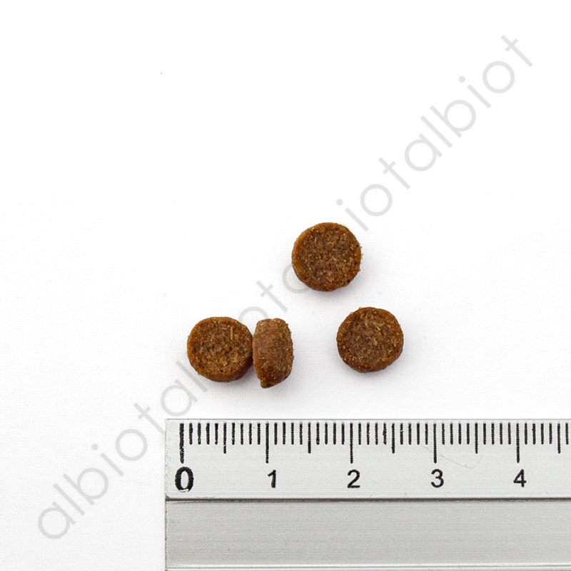 LUCY PET ルーシーペット チキン・ブラウンライス&パンプキン キャットフード ドライフード CAT