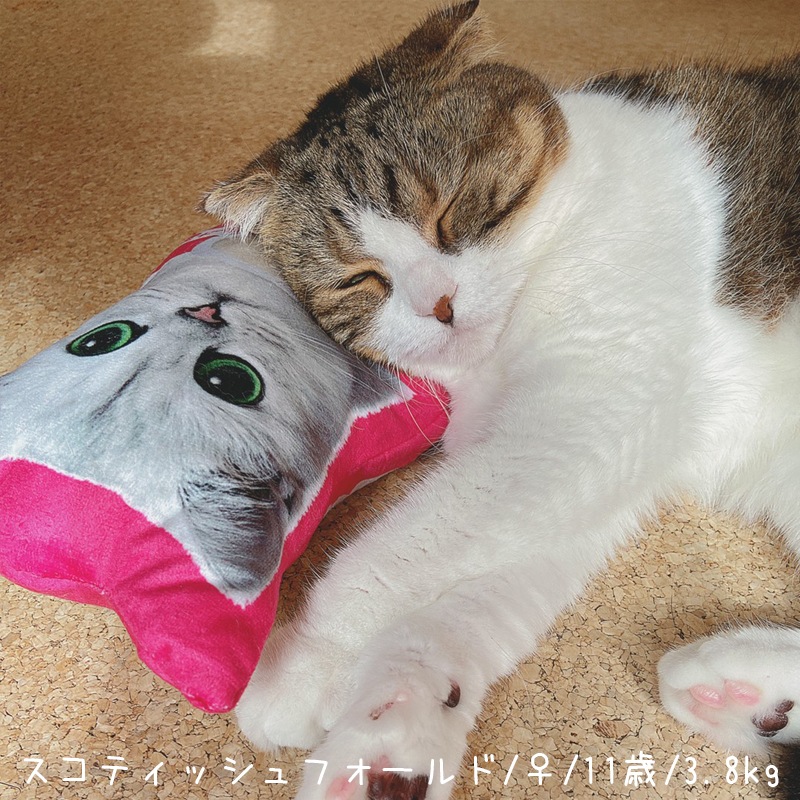 【数量限定】 キットキャット キックトイ [ピンク]