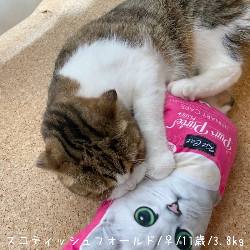 【数量限定】 キットキャット キックトイ [ピンク]