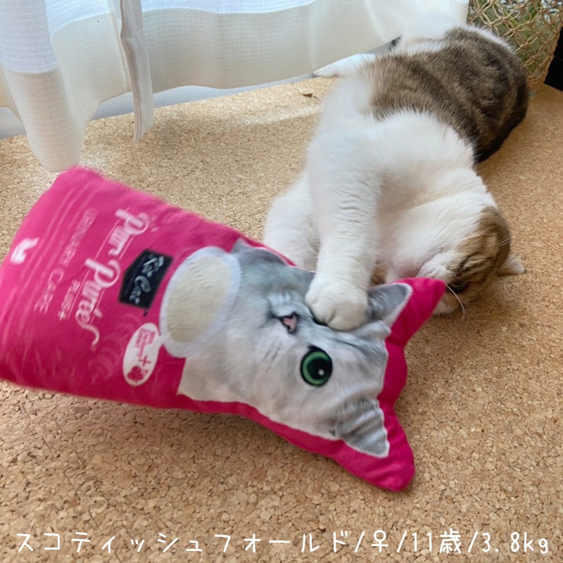 【数量限定】 キットキャット キックトイ [ピンク]