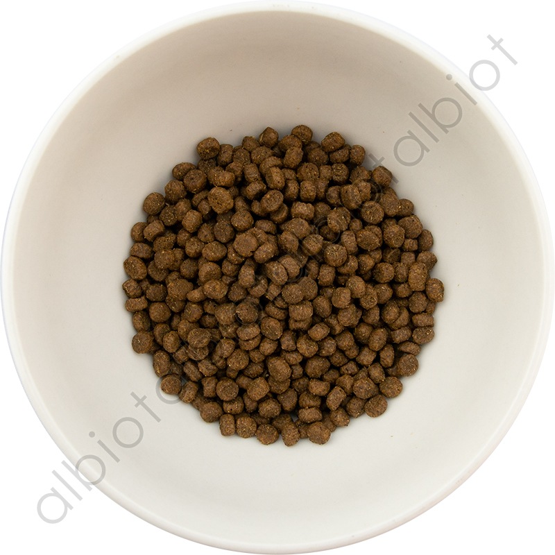 GO! ソリューションズ 消化＋腸の健康ケア サーモンキャット 30g キャットフード