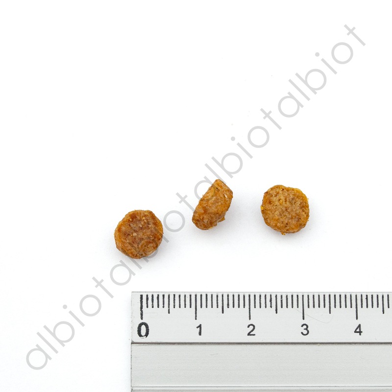 ナチュラルバランス オリジナルウルトラ 犬用 鶏肉＆大麦レシピ［全年齢用］小粒 ドッグフード ドライフード （旧ホールボディヘルス スモールバイツ）