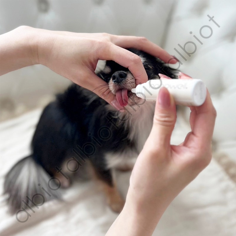 ナノウエル オーラルケア 愛犬用口腔洗浄液 20ml for DOG