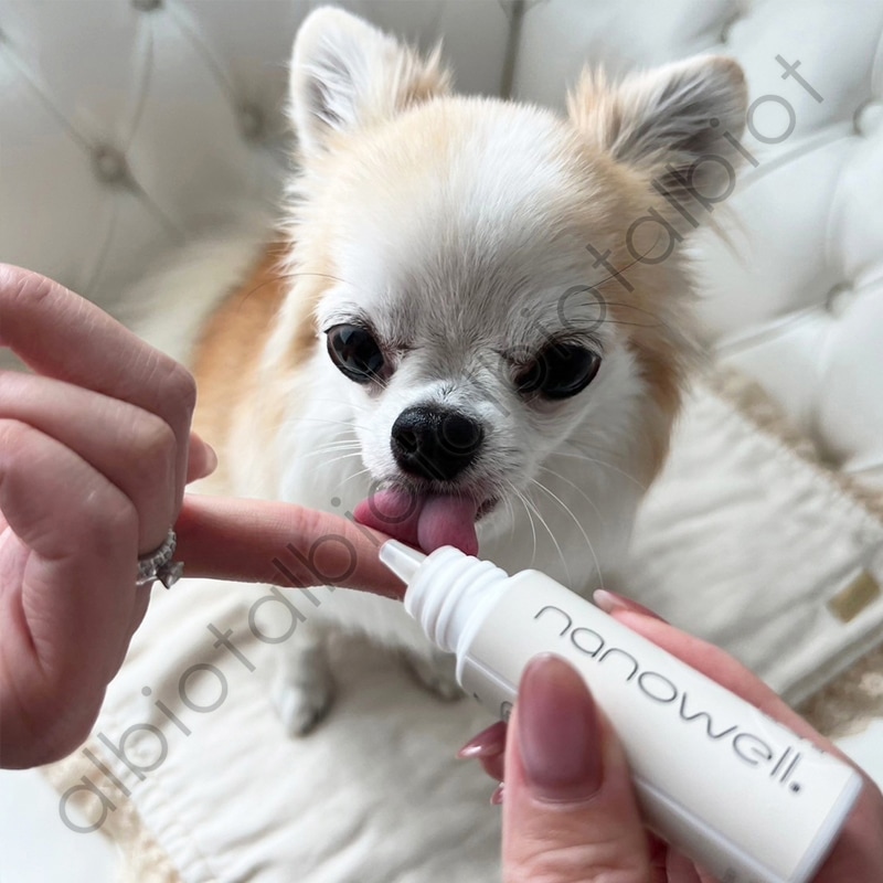 ナノウエル オーラルケア 愛犬用口腔洗浄液 20ml for DOG