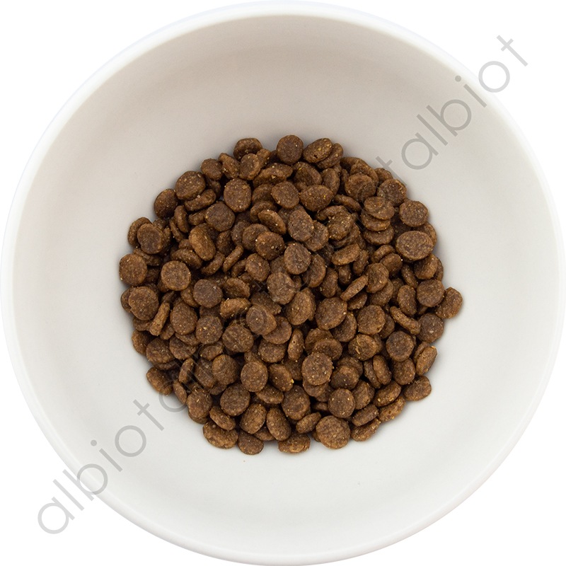 GO! ソリューションズ 皮膚＋被毛ケア サーモンキャット 30g キャットフード