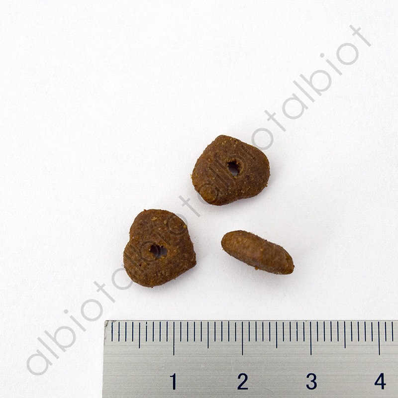 リアルネイチャーレシピ NO.2 フォレストチキン キャットフード