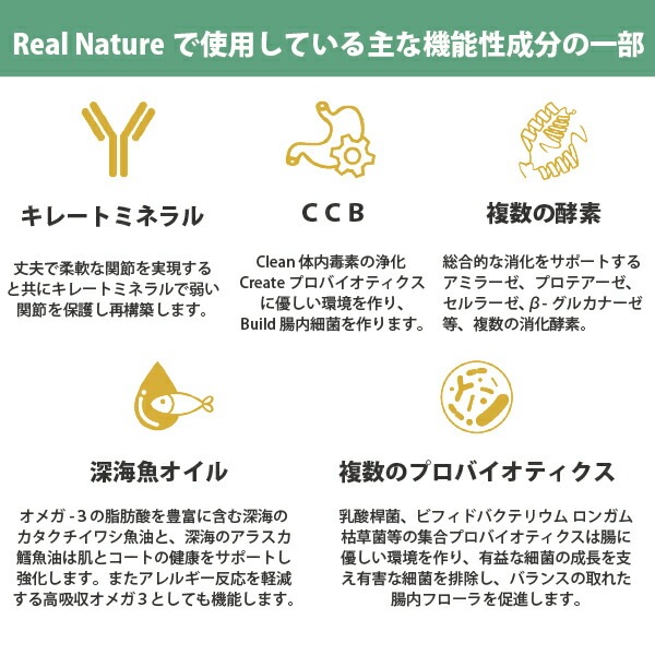 リアルネイチャーレシピ NO.2 フォレストチキン キャットフード