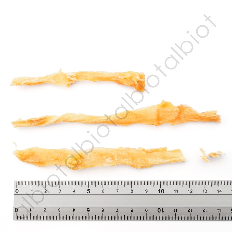 ナチュラルハーベスト ドライドターキーアキレス 40g