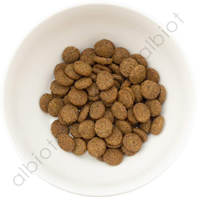 ナチュラルバランス オリジナルウルトラ FAT DOG 低カロリーレシピ チキン&サーモン ドッグフード ドライフード (旧リデュースカロリー)