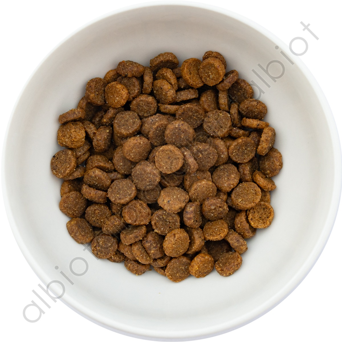 ブラックウッド 2000 ドッグフード