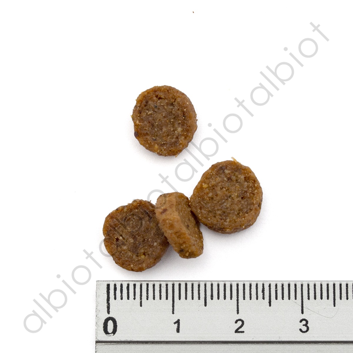 ブラックウッド 2000 ドッグフード