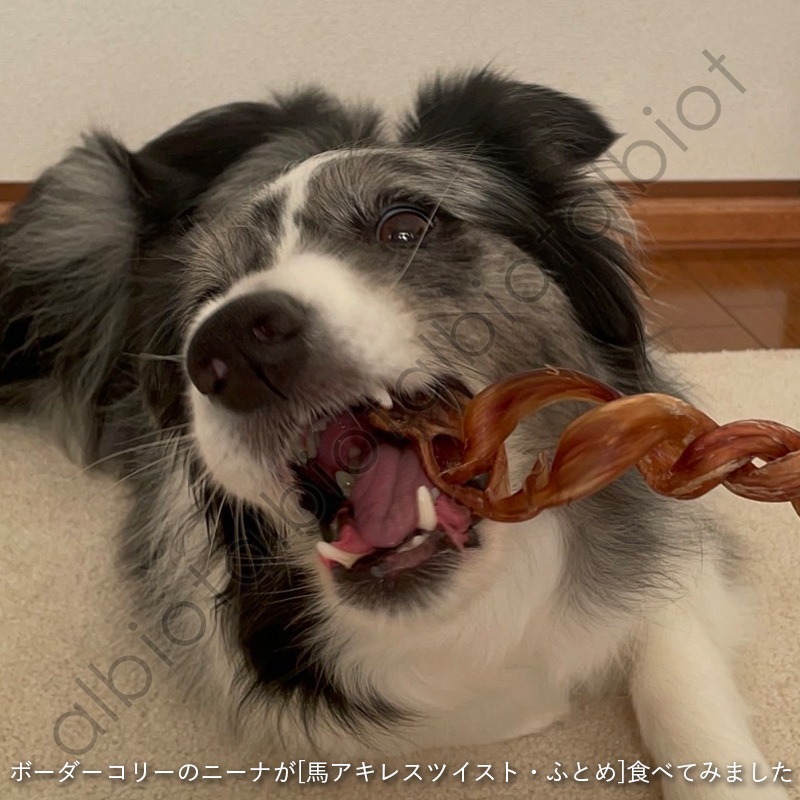 Funfun 馬アキレス ツイスト［ ほそめ 40g l ふとめ 2本 ］