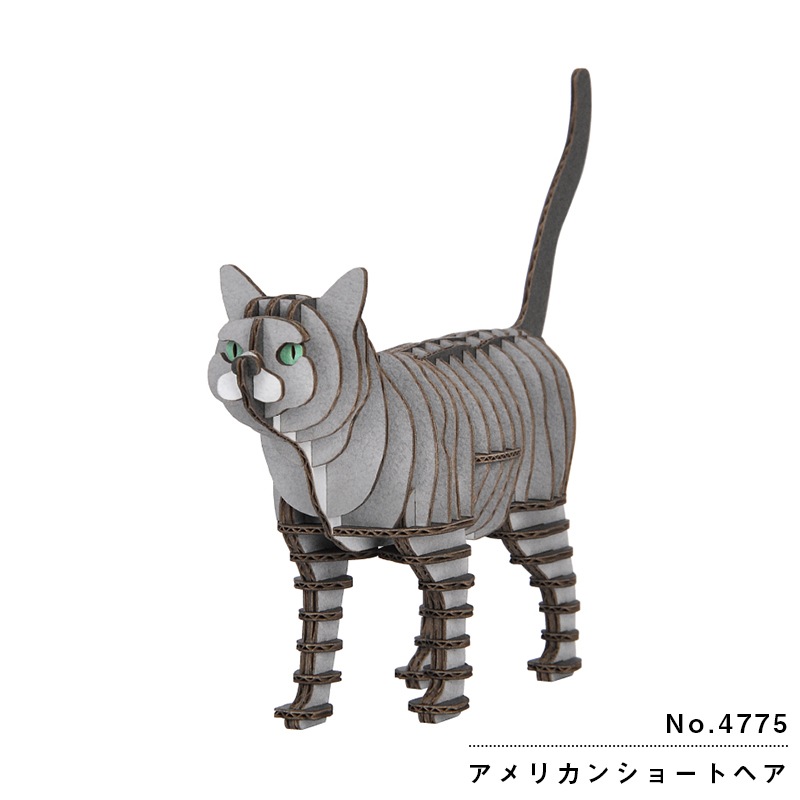 hacomo GRID アメリカンショートヘアー：4775