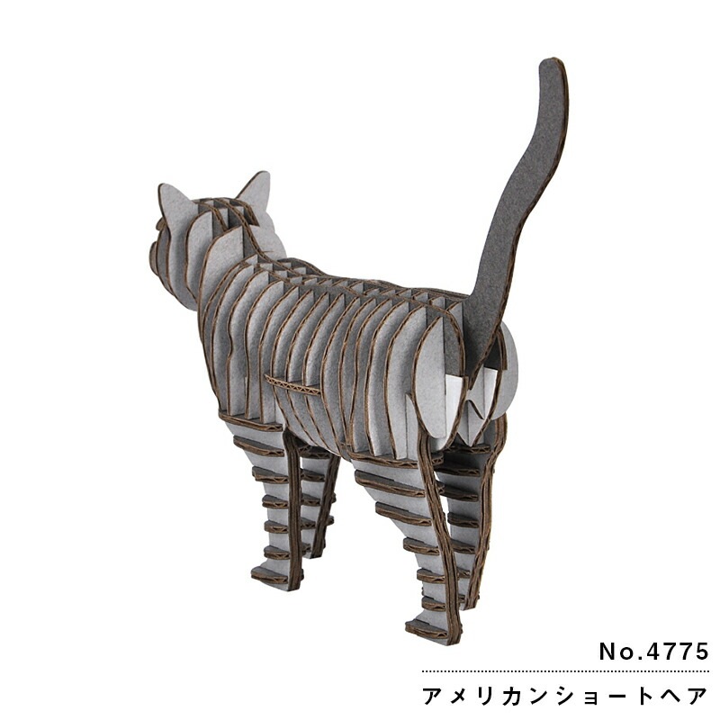hacomo GRID アメリカンショートヘアー：4775