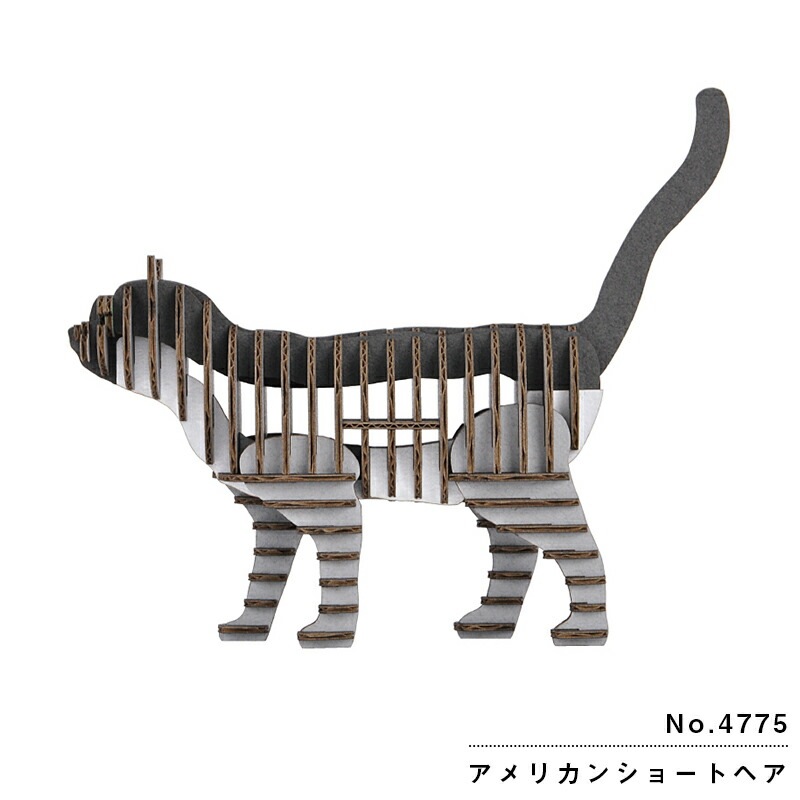 hacomo GRID アメリカンショートヘアー：4775