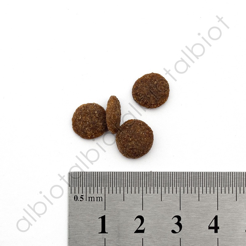 キアオラ KiaOra DOG ラム＆サーモン ドッグフード