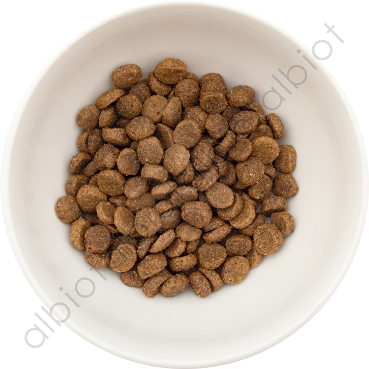 ブラックウッド 3000 ドッグフード