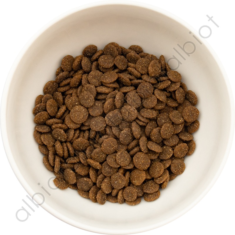 キアオラ KiaOra DOG グラスフェッドビーフ＆サーモン ドッグフード