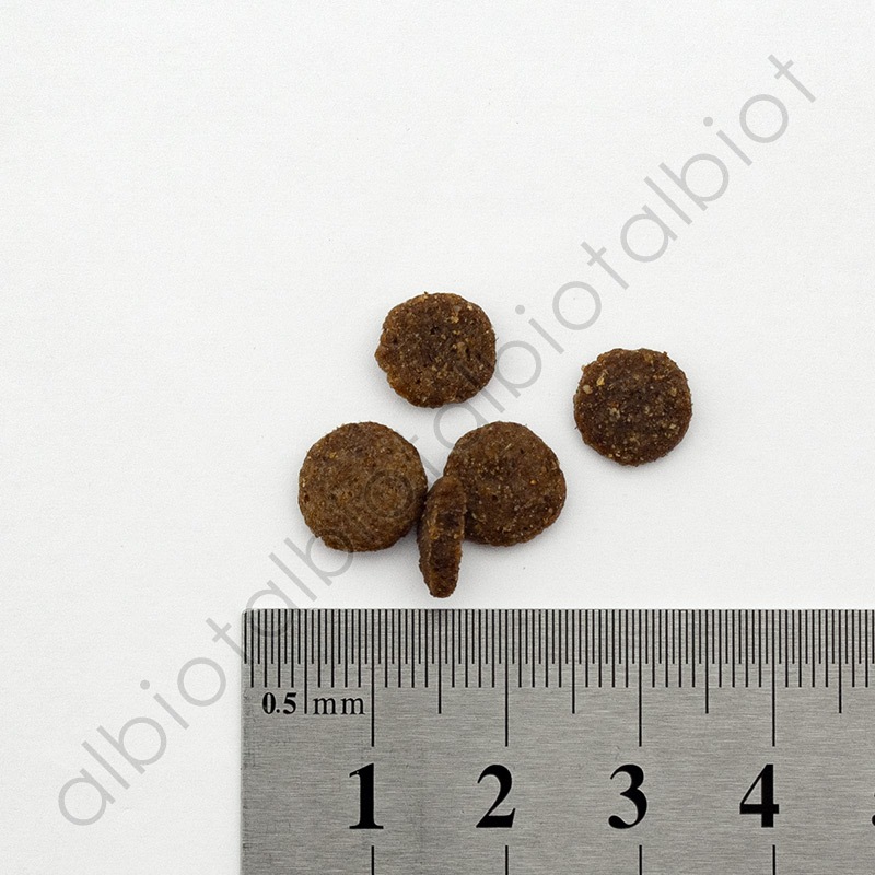 キアオラ KiaOra DOG グラスフェッドビーフ＆サーモン ドッグフード