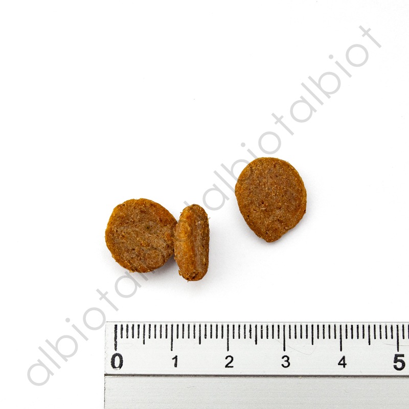 ナチュラルバランス LID RESERVE ダック&ポテトレシピ ドッグフード ドライフード(旧ポテト&ダック)