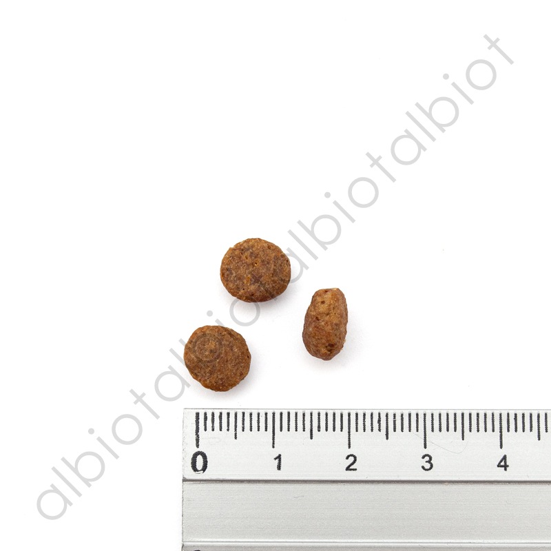 ナチュラルバランス LID RESERVE ダック&ポテトレシピ ドッグフード ドライフード(旧ポテト&ダック)