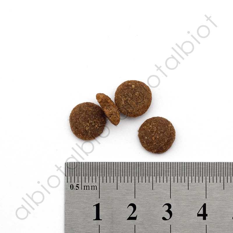 キアオラ KiaOra DOG ラム＆レバー ドッグフード