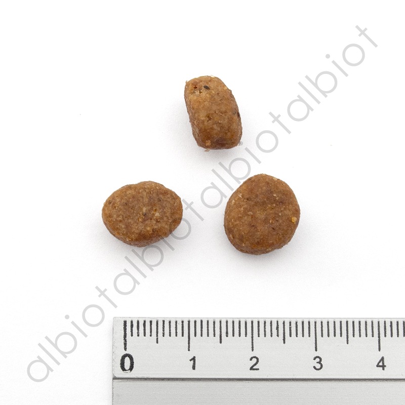 ナウフレッシュ グッドグレービー オールブリード ゲージフリーチキンレシピ [ 30g | 1.59kg ] ドッグフード