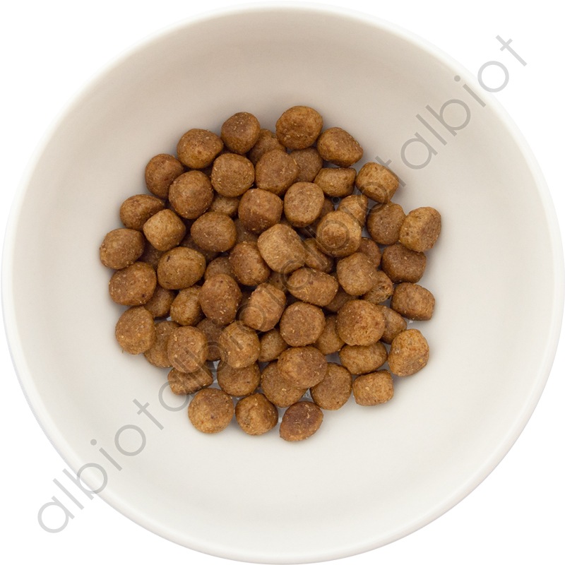 ナウフレッシュ グッドグレービー オールブリード ゲージフリーチキンレシピ [ 30g | 1.59kg ] ドッグフード