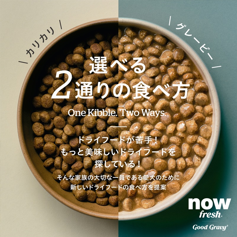 ナウフレッシュ グッドグレービー オールブリード ゲージフリーチキンレシピ [ 30g | 1.59kg ] ドッグフード