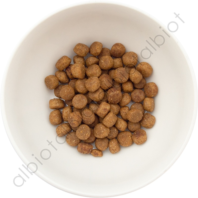 ナウフレッシュ グッドグレービー オールブリード サーモンレシピ [ 30g | 1.59kg ] ドッグフード