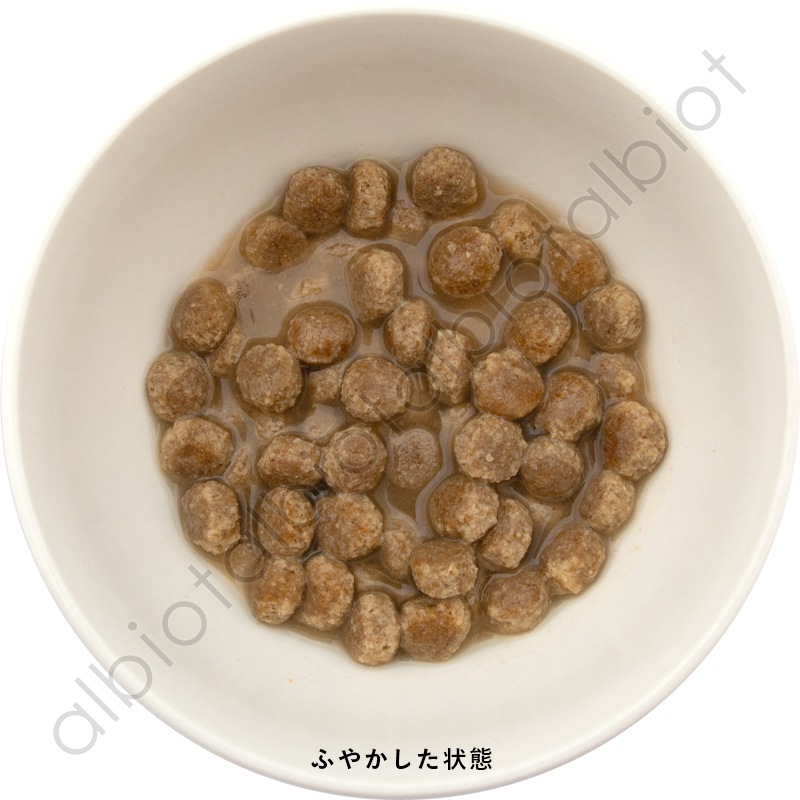 ナウフレッシュ グッドグレービー オールブリード サーモンレシピ [ 30g | 1.59kg ] ドッグフード