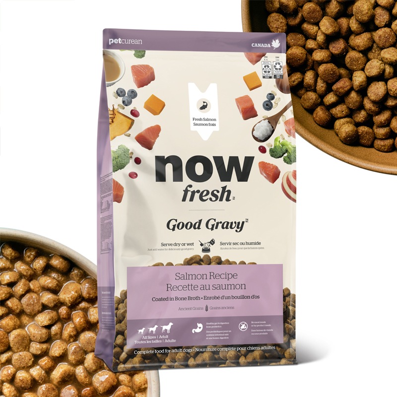ナウフレッシュ グッドグレービー オールブリード サーモンレシピ [ 30g | 1.59kg ] ドッグフード