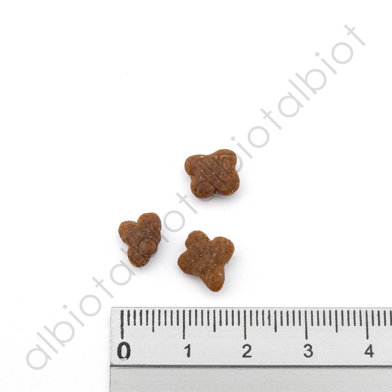 ナウフレッシュ グッドグレービー スモールブリード ゲージフリーチキンレシピ（小粒） [ 30g | 800g | 5.44kg ] ドッグフード